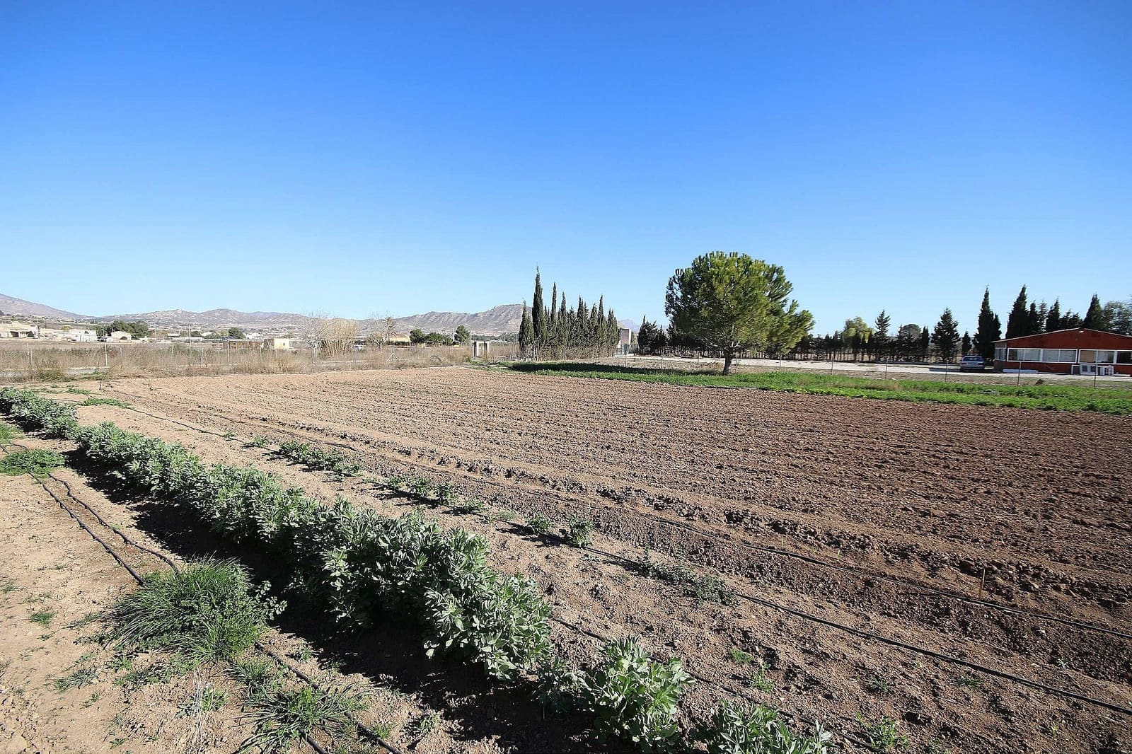 5 bedroom Villa for sale in Aspe with pool - € 449,000 (Ref: 6682546)