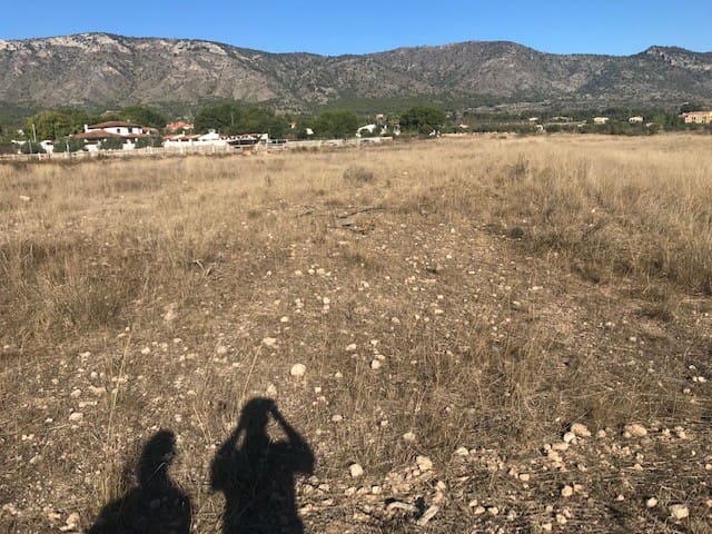 Building Plot for sale in Salinas - € 98,000 (Ref: 6761362)