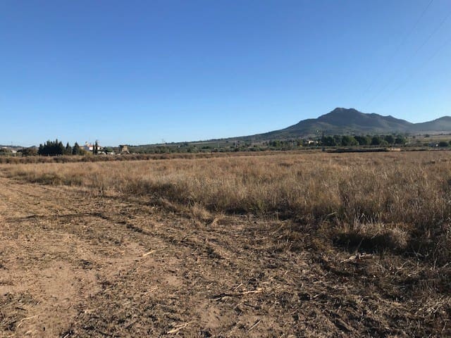 Building Plot for sale in Salinas - € 36,000 (Ref: 6761363)