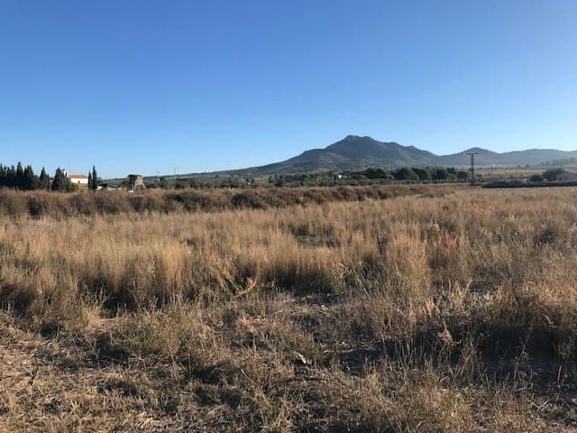 Building Plot for sale in Salinas - € 36,000 (Ref: 6761363)