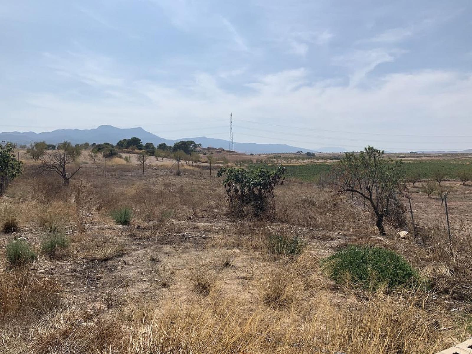 5 Zimmer Finca/Landgut zu verkaufen in Torre del Rico mit Pool - 274.950 € (Ref: 7145091)