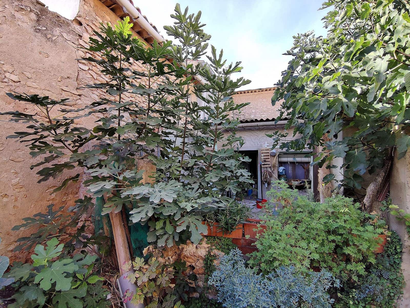 5 soverom Finca/Herregård til salgs i Monovar / Monover med svømmebasseng - € 138 000 (Ref: 7210446)