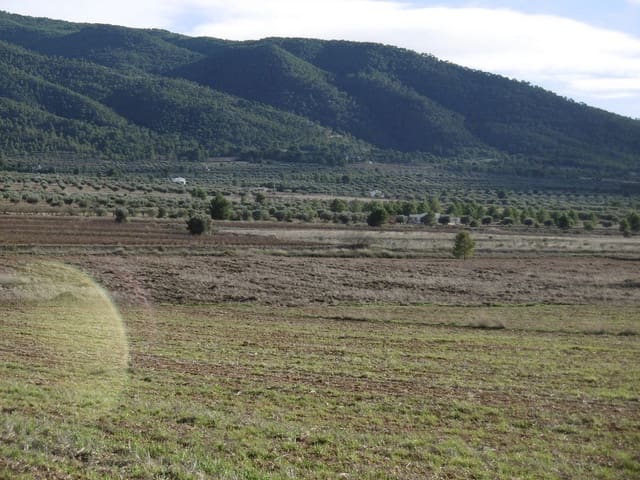 2 sypialnia Willa na sprzedaż w Yecla - 129 000 € (Ref: 7330102)