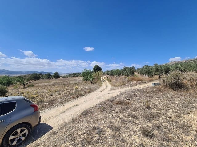 Undeveloped Land for sale in Sax - € 39,995 (Ref: 7512803)