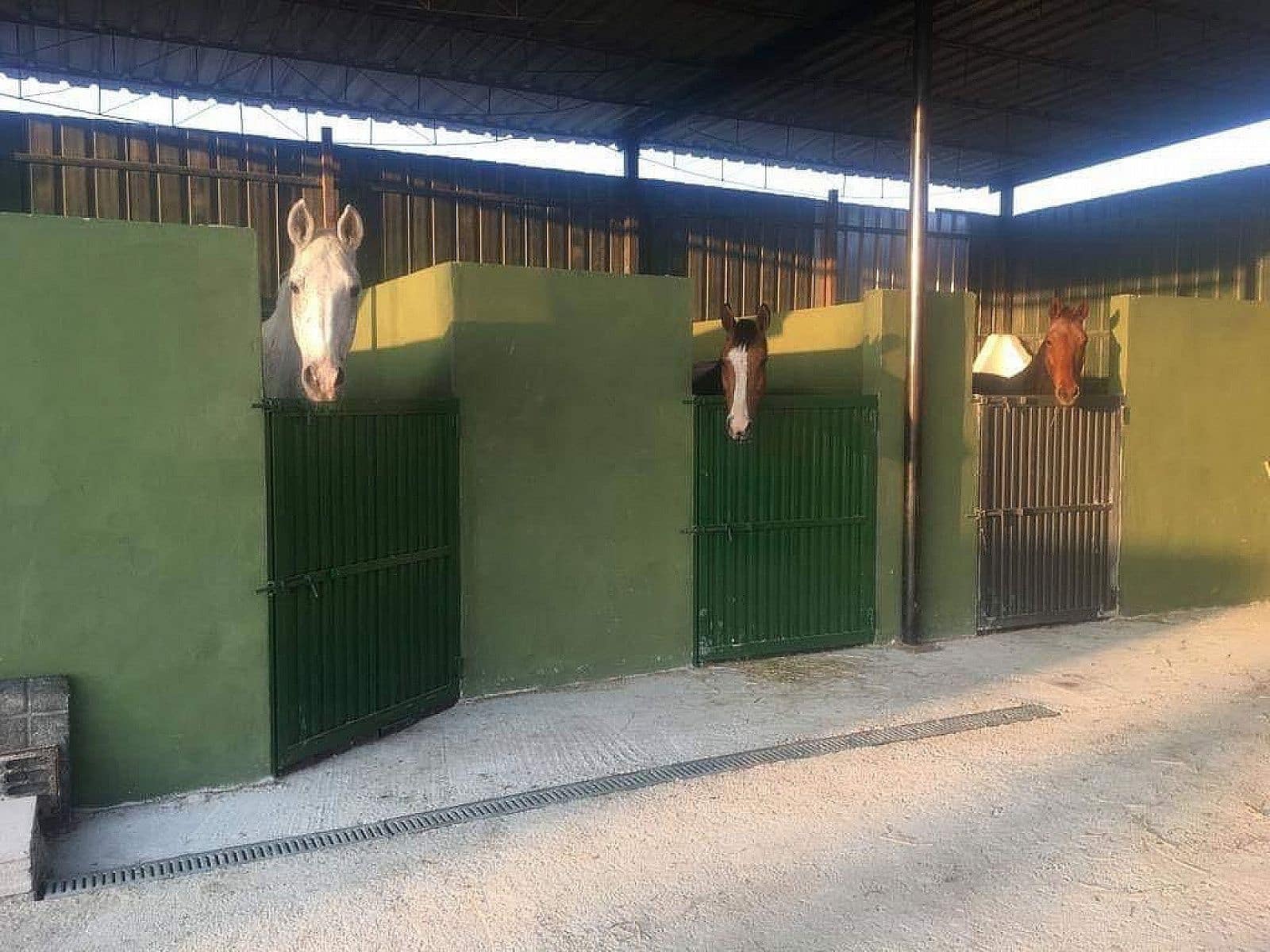 12 slaapkamer Commercieel te koop in Fortuna met zwembad - € 950.000 (Ref: 7618327)