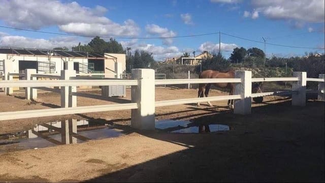 12 bedroom Commercial for sale in Fortuna with pool - € 950,000 (Ref: 7618327)