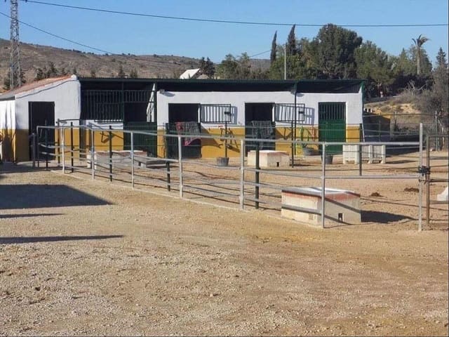 12 bedroom Commercial for sale in Fortuna with pool - € 950,000 (Ref: 7618327)