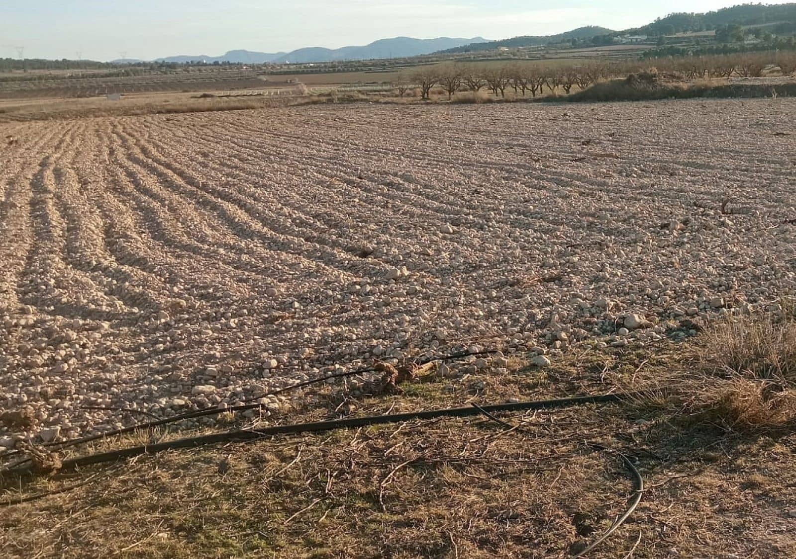 Mark till salu i Salinas - 99 999 € (Ref: 7635915)