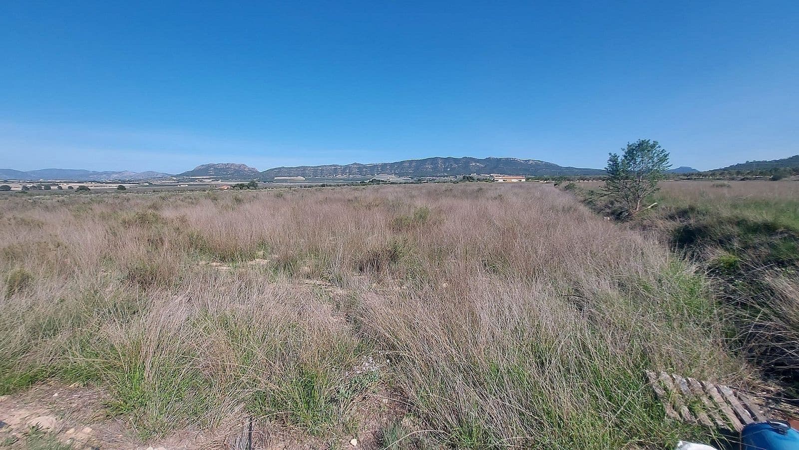 Teren niezagospodarowany na sprzedaż w Salinas - 49 999 € (Ref: 7644325)