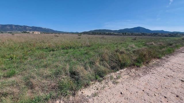 Undeveloped Land for sale in Salinas - € 49,999 (Ref: 7644325)