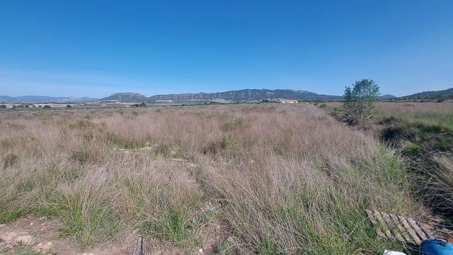 Undeveloped Land for sale in Salinas - € 49,999 (Ref: 7644325)