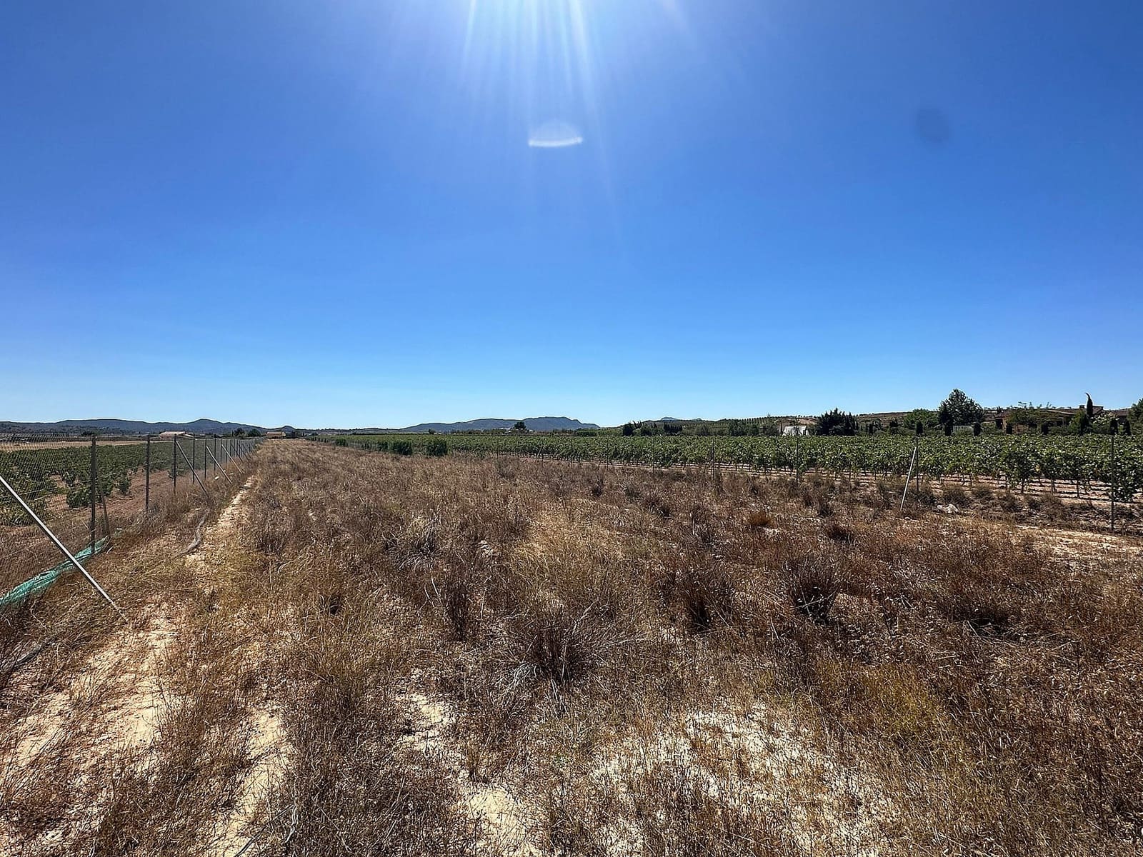 Terre non Aménagée à vendre à Pinoso - 49 995 € (Ref: 7758902)