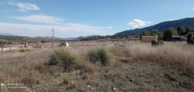 Terreno/Finca Rústica en La Romana en venta - 35.995 € (Ref: 7786772)