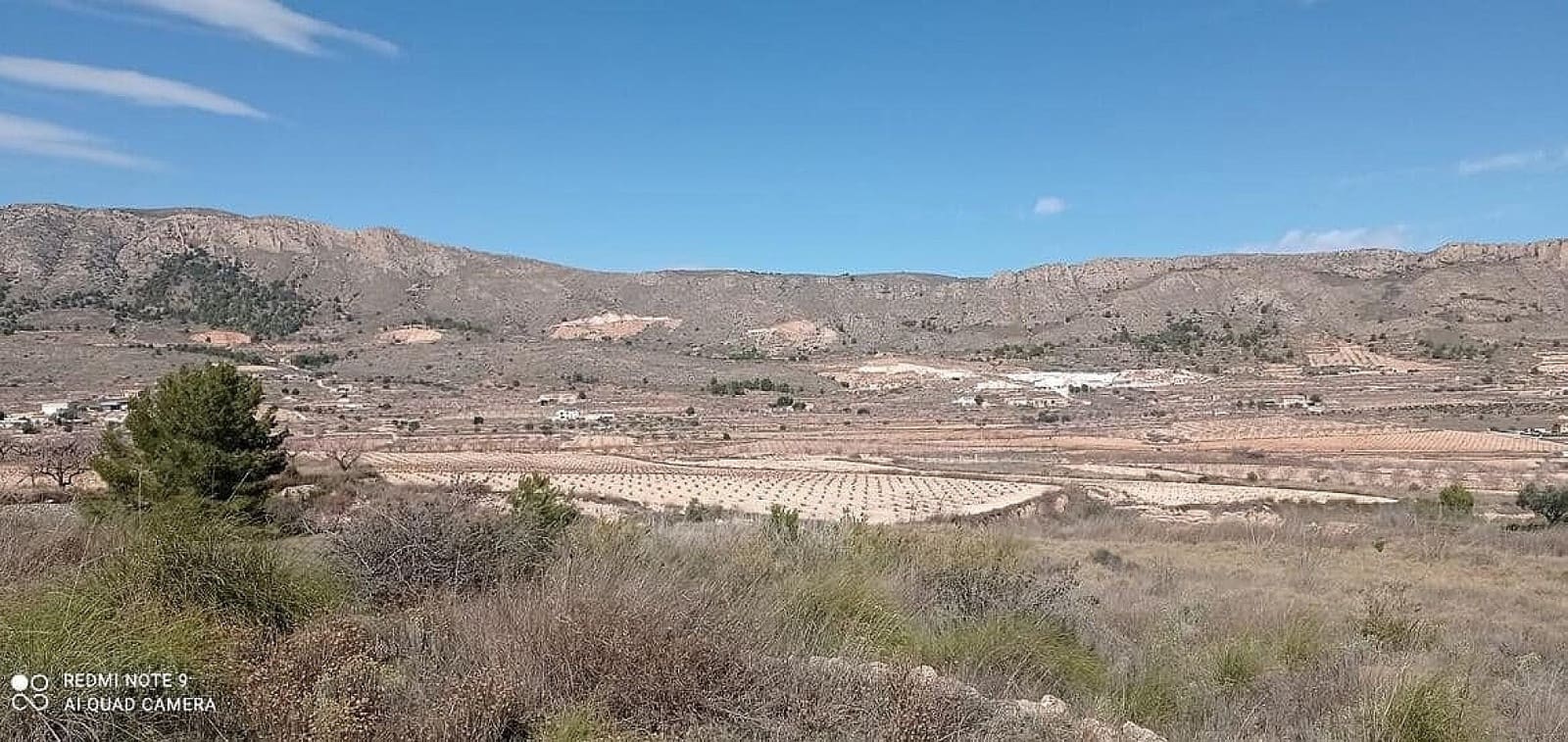Terreno/Finca Rústica en La Romana en venta - 35.995 € (Ref: 7786772)