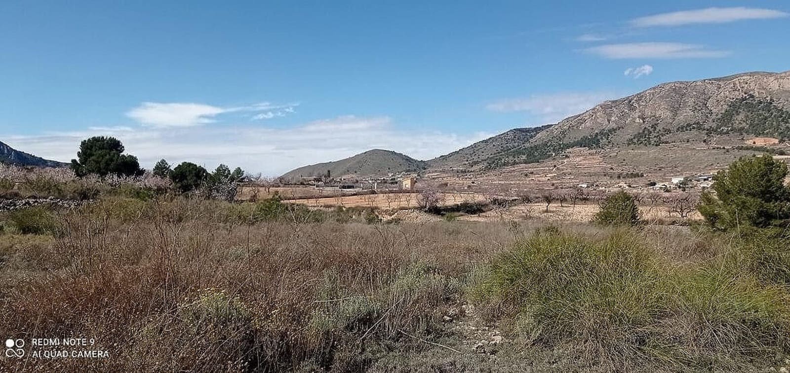 Terreno/Finca Rústica en La Romana en venta - 35.995 € (Ref: 7786772)