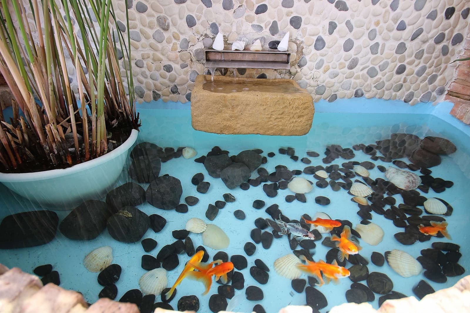 6 sovrum Villa till salu i Monovar / Monover med pool - 774 995 € (Ref: 8025042)