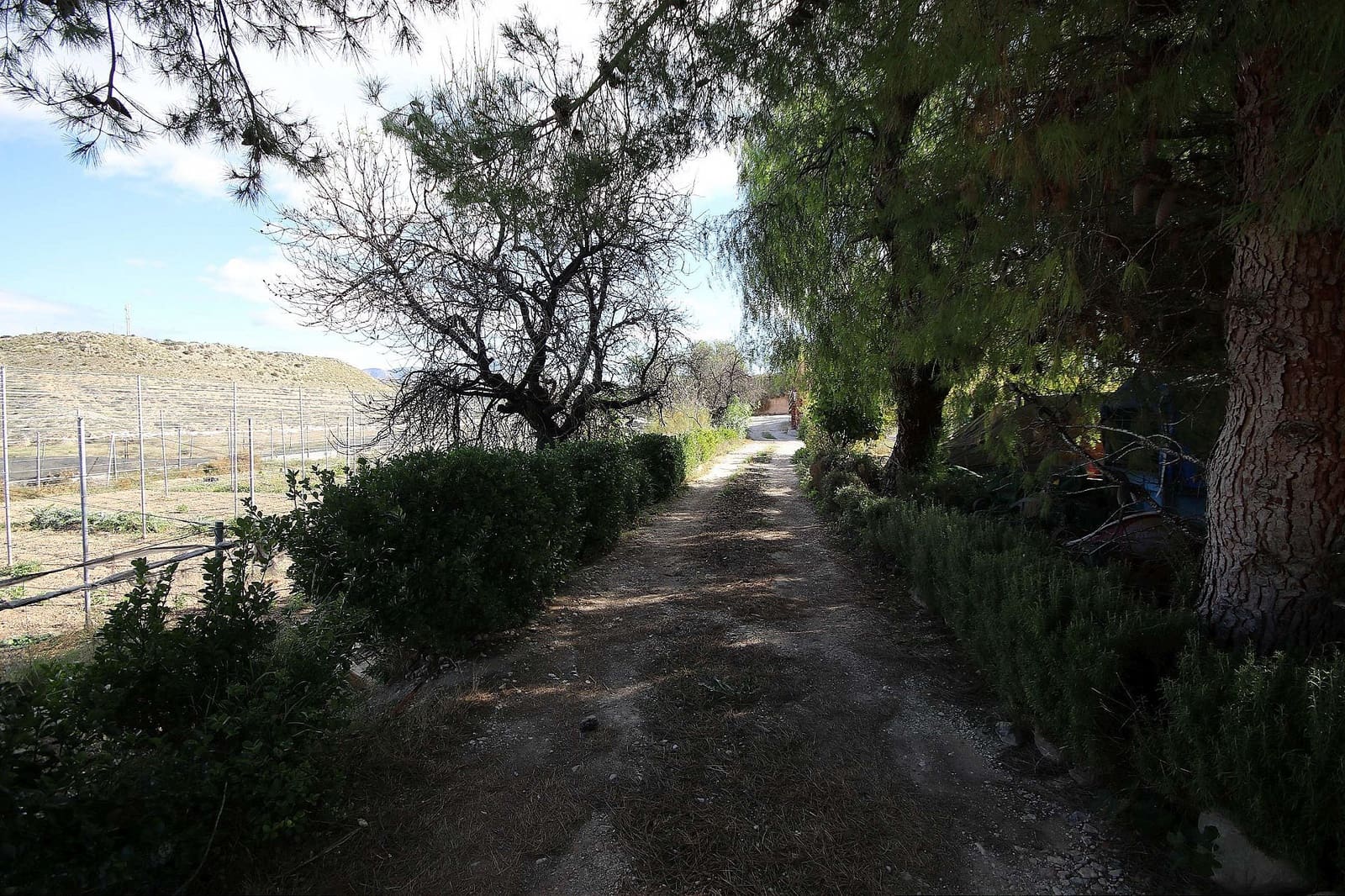 7 bedroom Villa for sale in Monovar / Monover with pool - € 449,995 (Ref: 8025066)