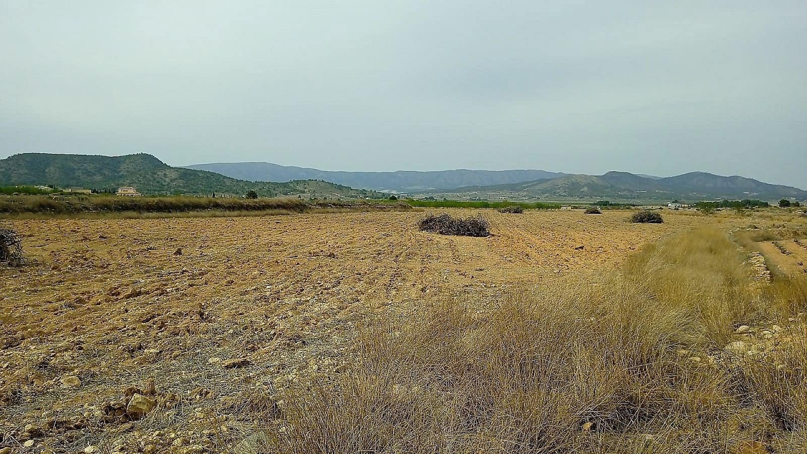 Mark till salu i Monovar / Monover - 65 000 € (Ref: 8655627)