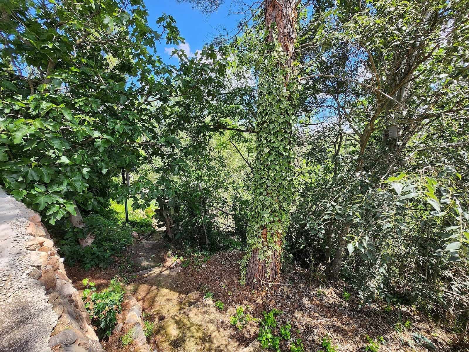 10 sovrum Finca/Hus på landet till salu i Jalance med pool - 499 950 € (Ref: 8655635)