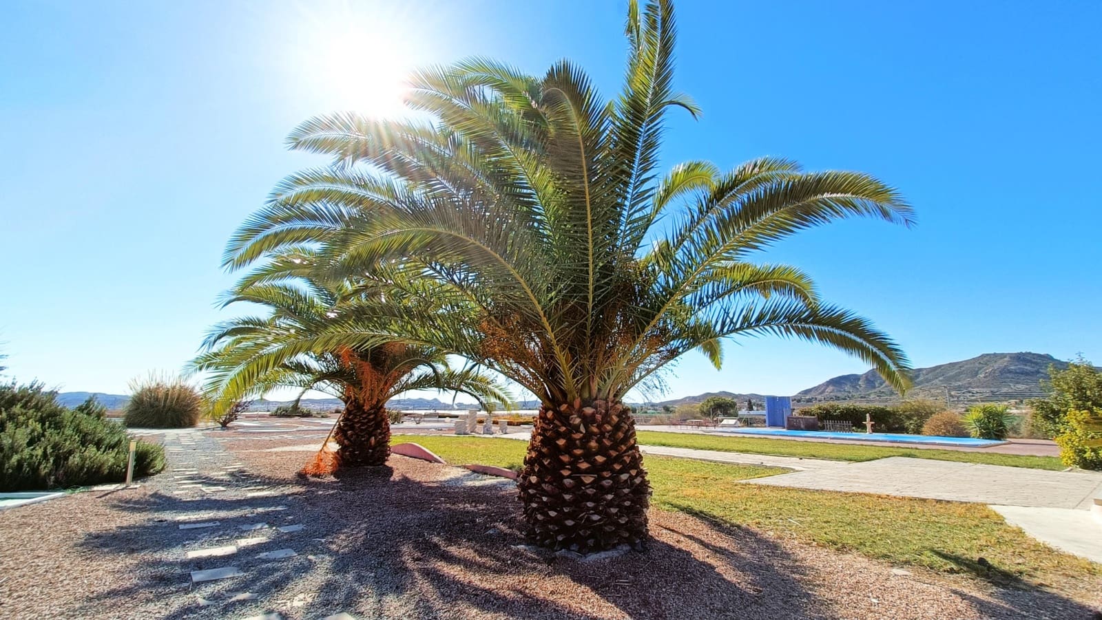 5 chambre Villa/Maison à vendre à Novelda avec piscine - 581 995 € (Ref: 8655657)