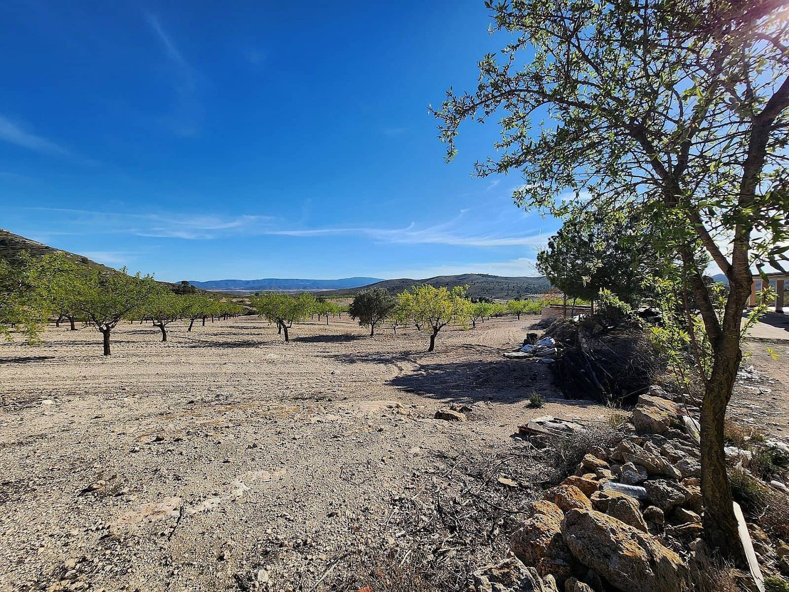 5 slaapkamer Finca/Landhuis te koop in Caudete met zwembad - € 145.000 (Ref: 8655661)