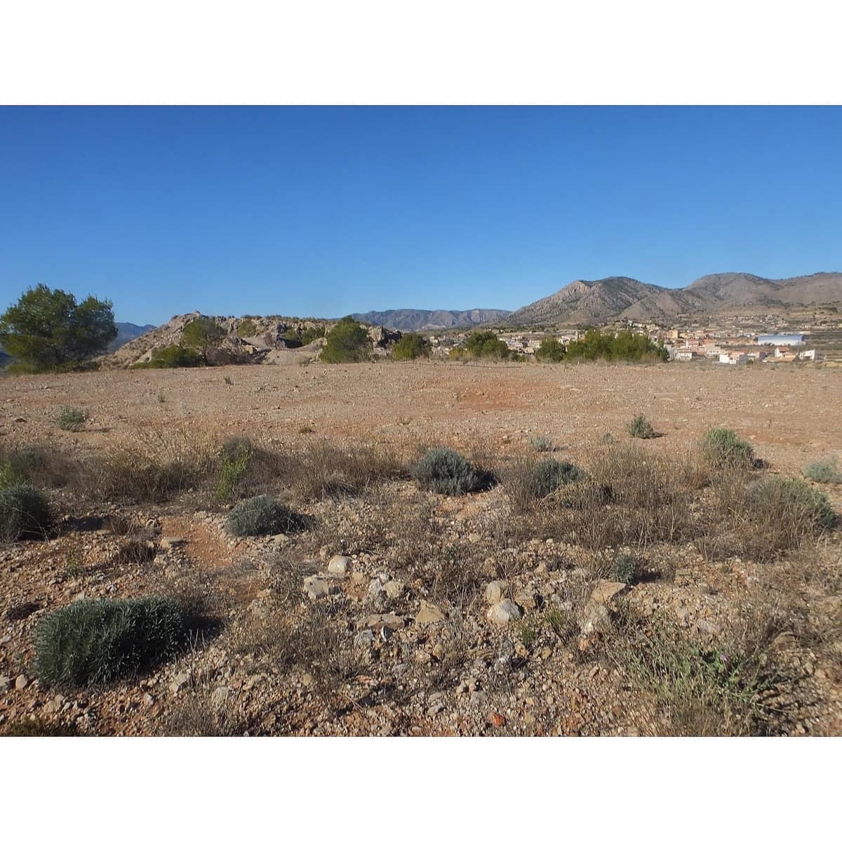 Undeveloped Land for sale in Macisvenda - € 69,995 (Ref: 8713476)