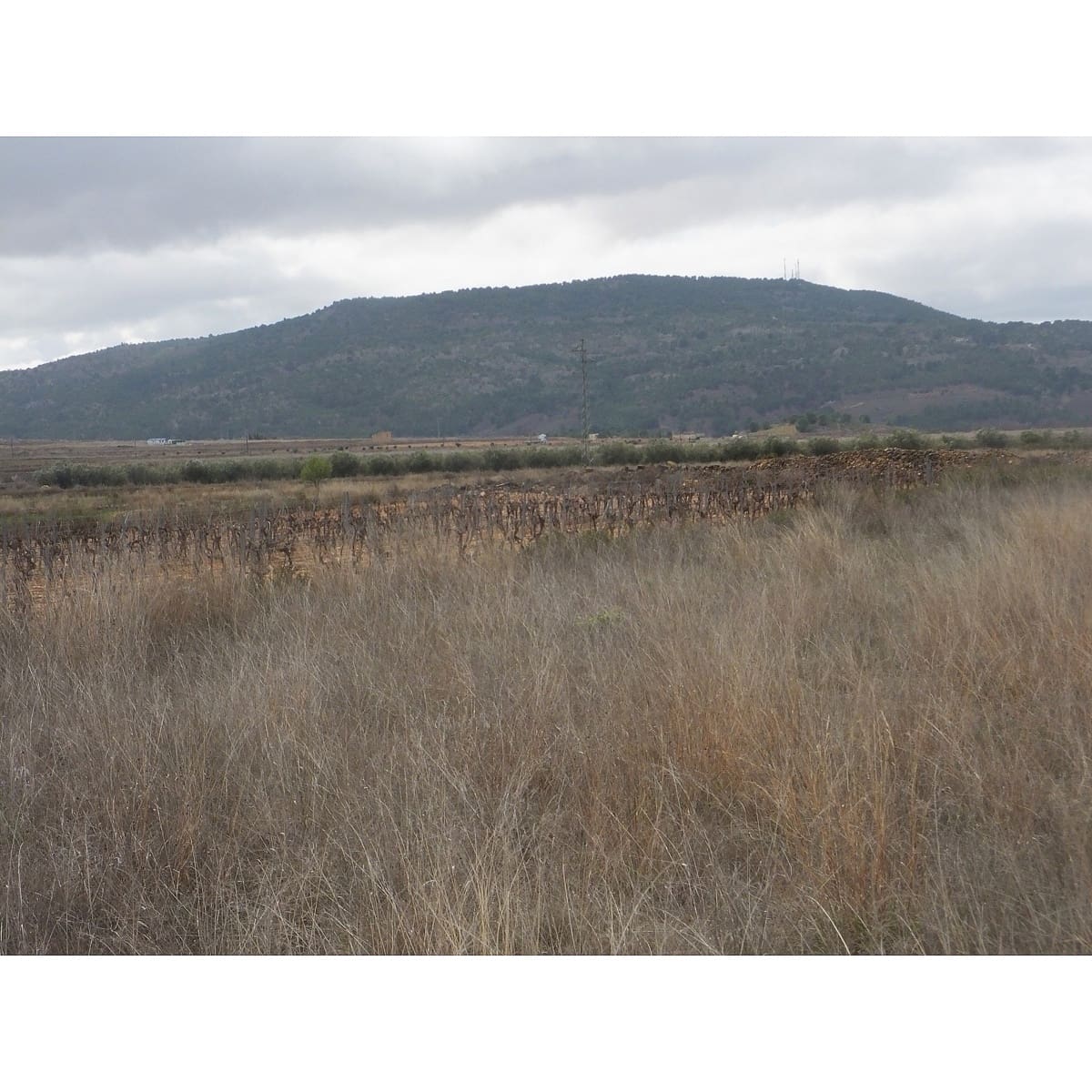 Terreno Não Urbanizado para venda em Culebron - 40 000 € (Ref: 8713478)