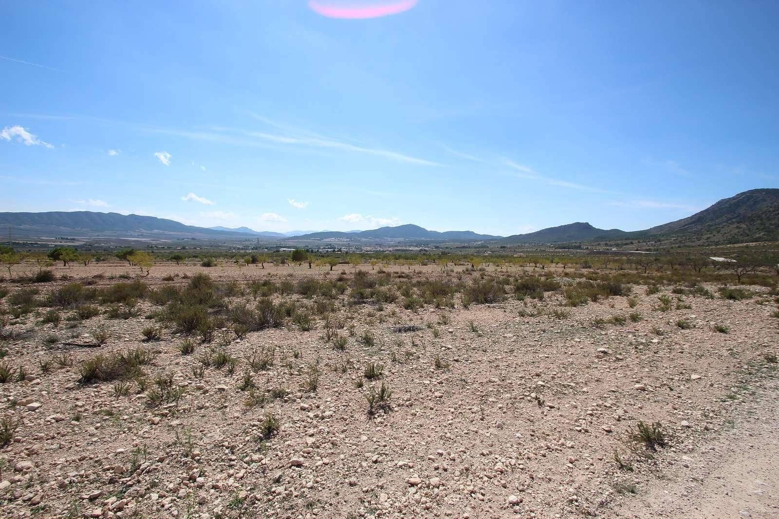Undeveloped Land for sale in Pinoso - € 39,000 (Ref: 8713483)