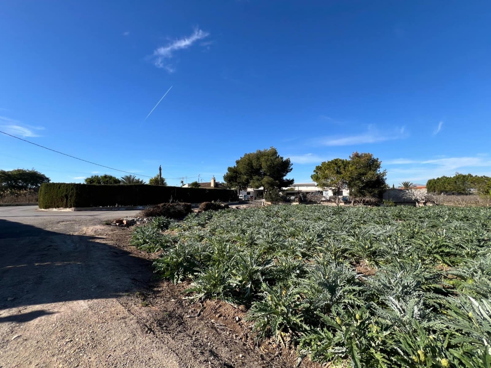 4 camera da letto Finca/Casa di Campagna in vendita in Dolores con piscina - 379.000 € (Rif: 9165355)