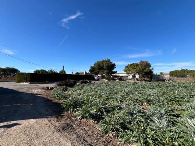 4 camera da letto Finca/Casa di Campagna in vendita in Dolores con piscina - 379.000 € (Rif: 9165355)