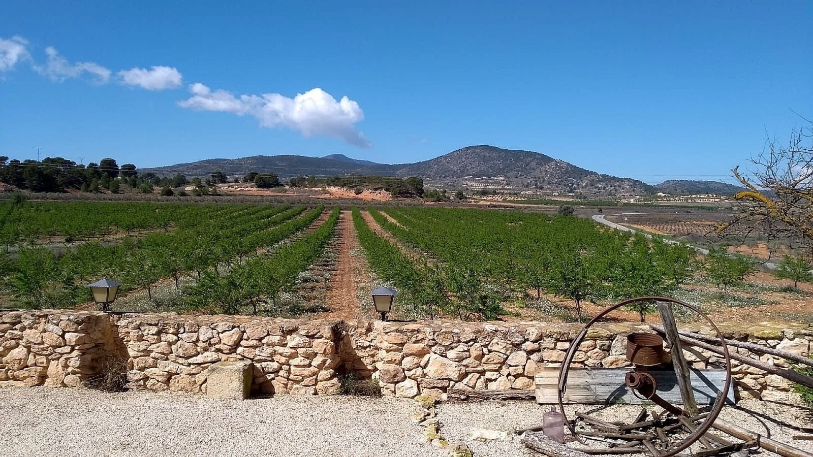 5 bedroom Semi-detached Villa for sale in Pinoso with pool - € 459,995 (Ref: 9319852)