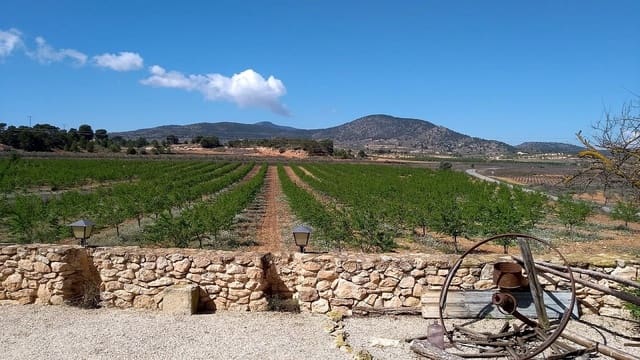 5 bedroom Semi-detached Villa for sale in Pinoso with pool - € 459,995 (Ref: 9319852)