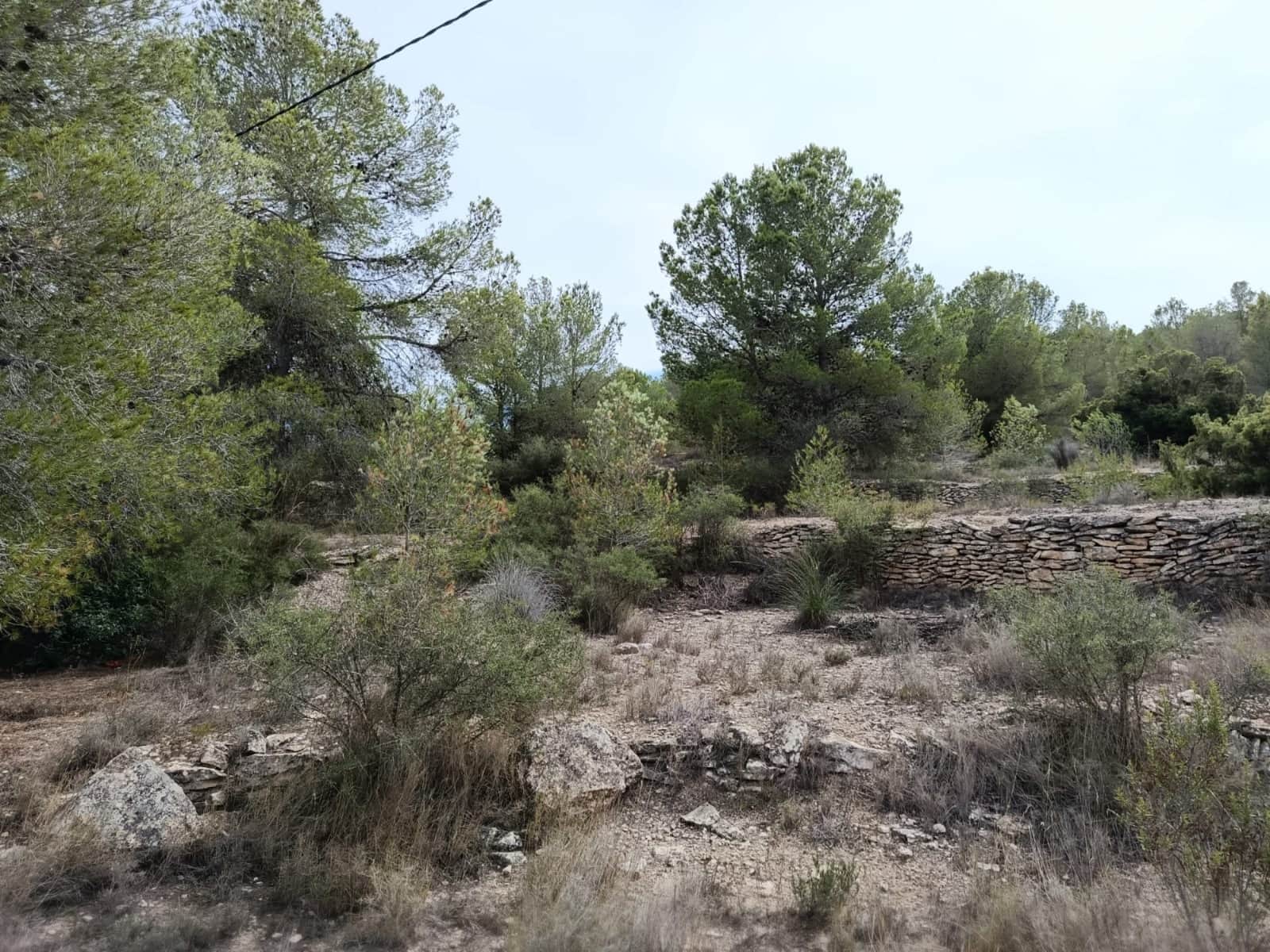 Building Plot for sale in Monovar / Monover - € 55,000 (Ref: 9329760)