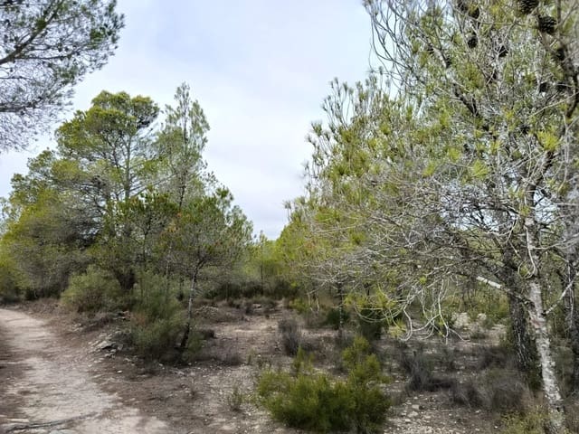 Building Plot for sale in Monóvar / Monóver - € 55,000 (Ref: 9329760)