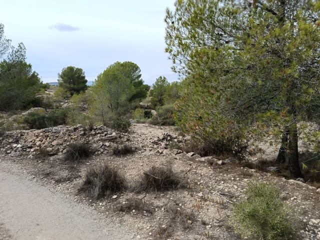 Building Plot for sale in Monóvar / Monóver - € 55,000 (Ref: 9329760)