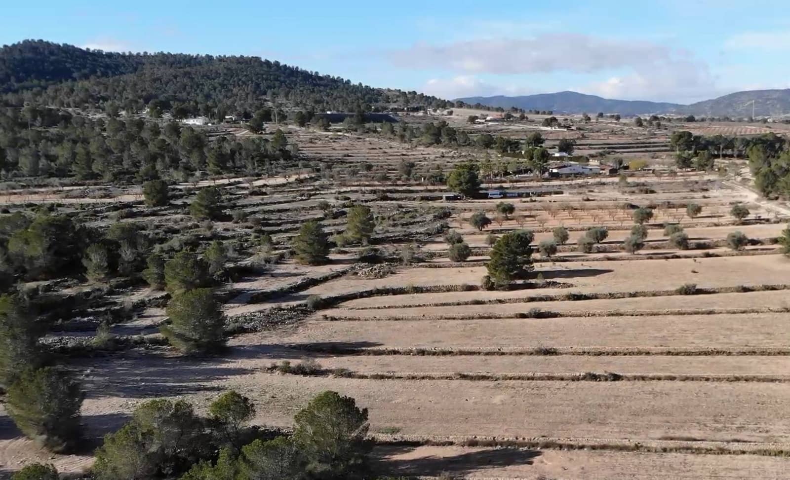 Building Plot for sale in Monovar / Monover - € 55,000 (Ref: 9371178)