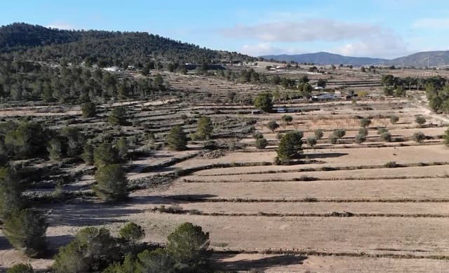 Building Plot for sale in Monóvar / Monóver - € 55,000 (Ref: 9371178)