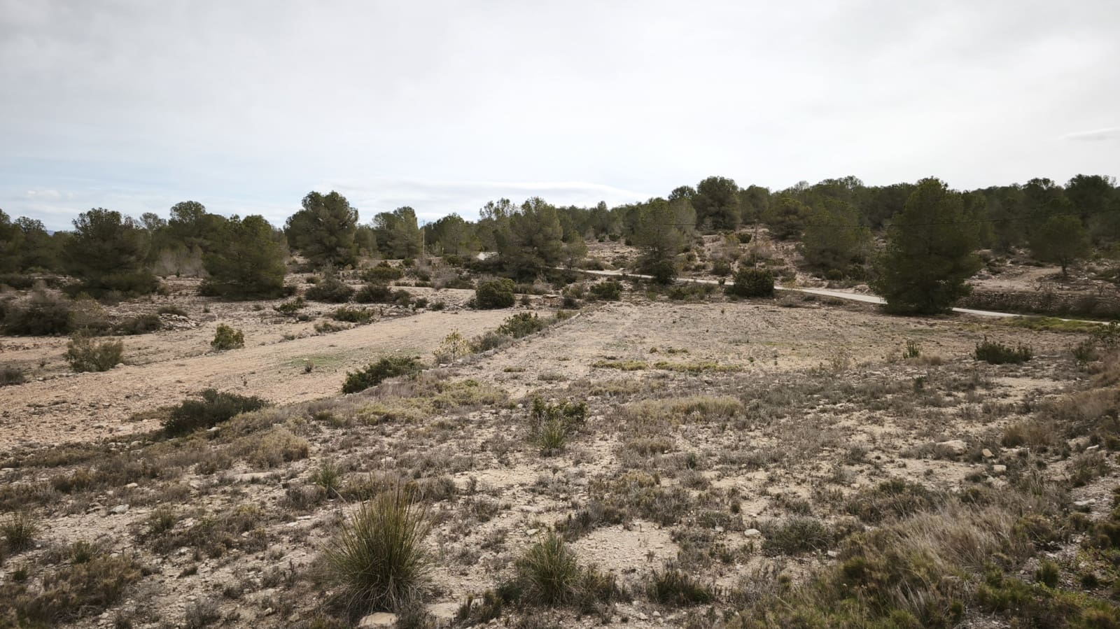 Building Plot for sale in Monovar / Monover - € 55,000 (Ref: 9371178)