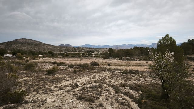 Building Plot for sale in Monóvar / Monóver - € 55,000 (Ref: 9371178)