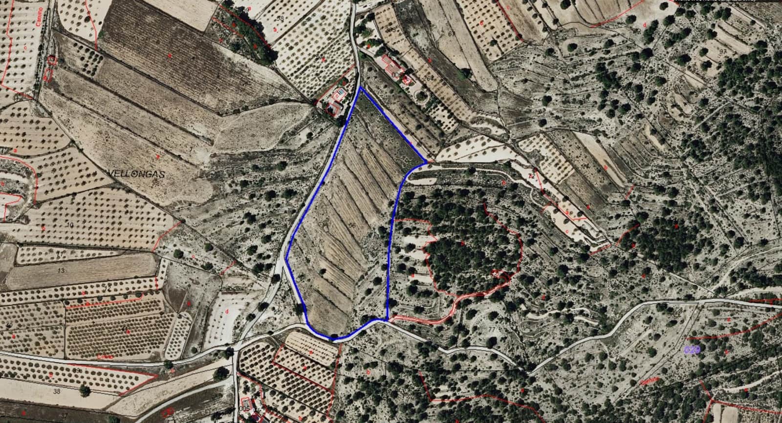 Building Plot for sale in Monovar / Monover - € 55,000 (Ref: 9371178)