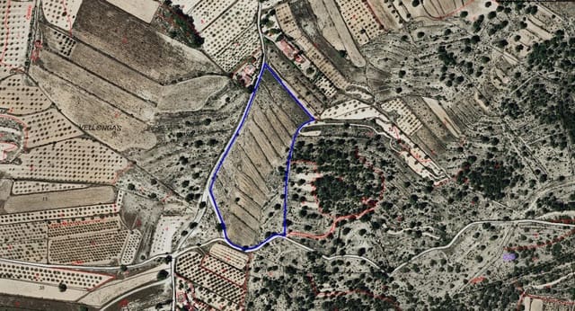 Building Plot for sale in Monóvar / Monóver - € 55,000 (Ref: 9371178)