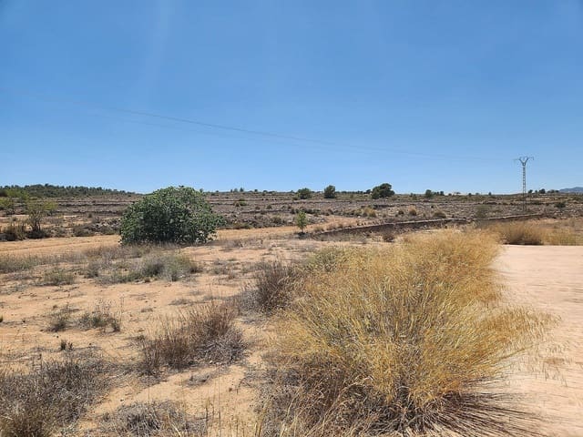 2 chambre Villa/Maison à vendre à Pinoso avec piscine - 59 995 € (Ref: 9393584)