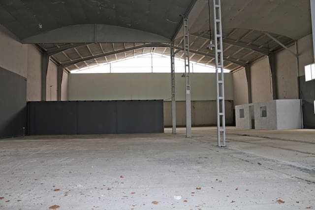 Commercial for sale in Pinoso with pool - € 320,000 (Ref: 9418895)