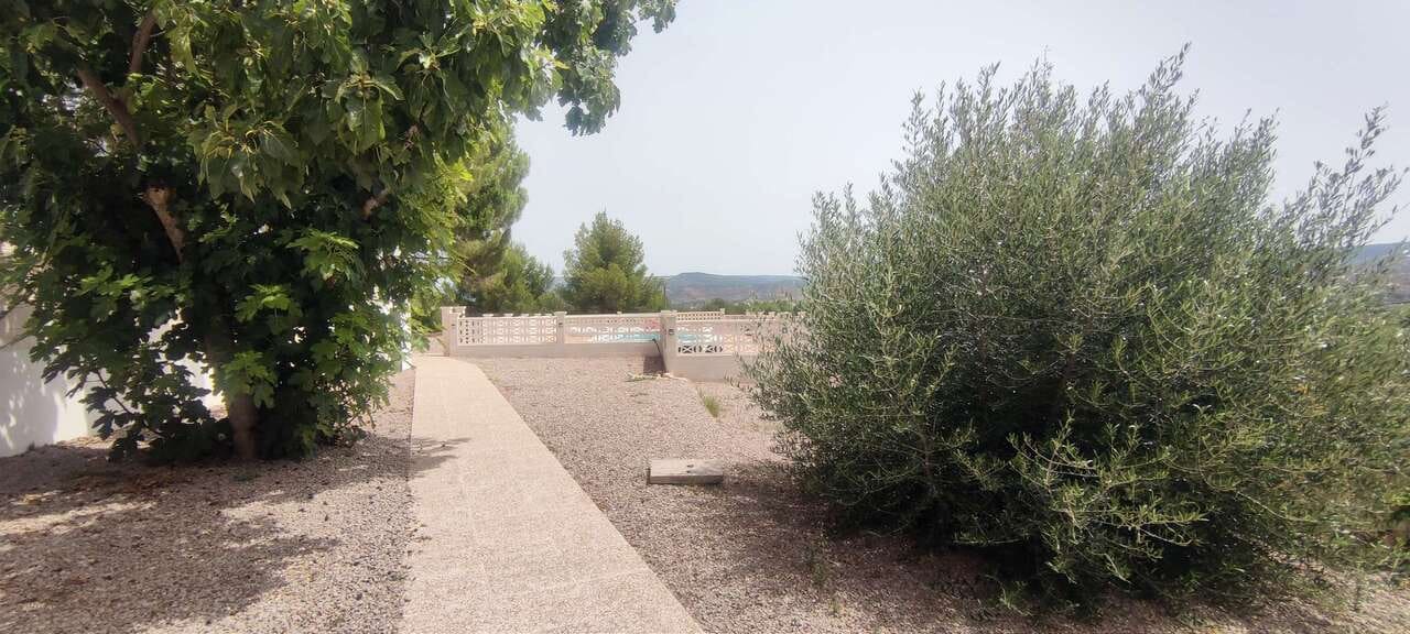 Local Comercial de 9 habitaciones en Ayora en venta con piscina - 620.000 € (Ref: 9475763)