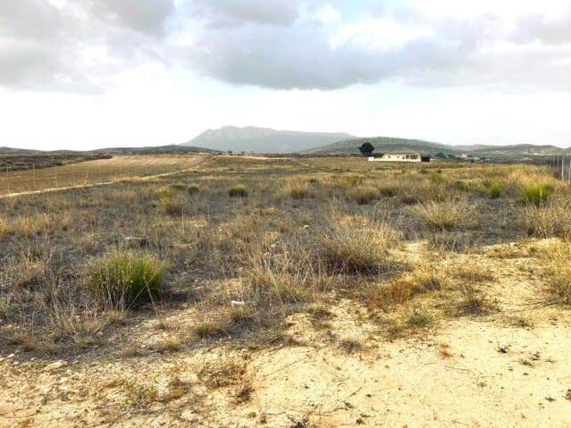 Undeveloped Land for sale in Jumilla - € 19,500 (Ref: 9475796)