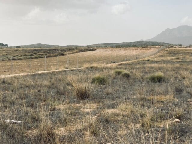 Undeveloped Land for sale in Jumilla - € 19,500 (Ref: 9475796)