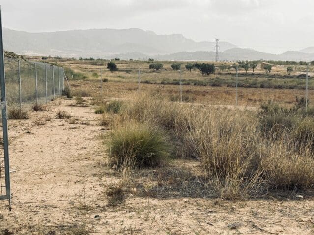 Undeveloped Land for sale in Jumilla - € 19,500 (Ref: 9475796)