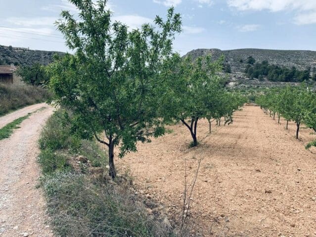 Landgrundstück zu verkaufen in La Romana - 69.000 € (Ref: 9475809)