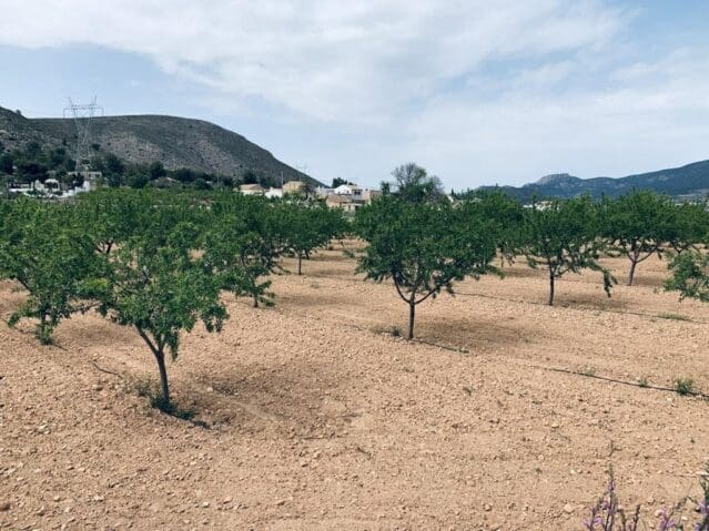 Landgrundstück zu verkaufen in La Romana - 69.000 € (Ref: 9475809)