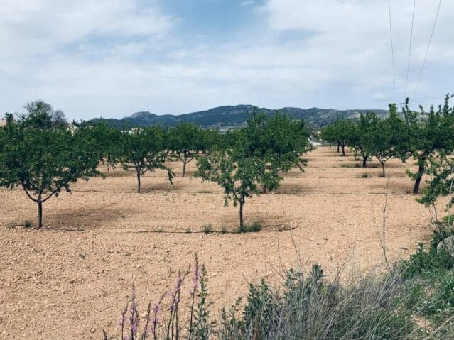 Landgrundstück zu verkaufen in La Romana - 69.000 € (Ref: 9475809)